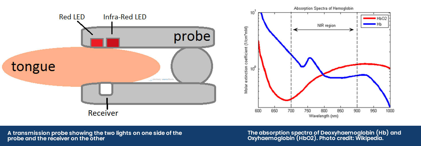 transmission probe absorption spectra