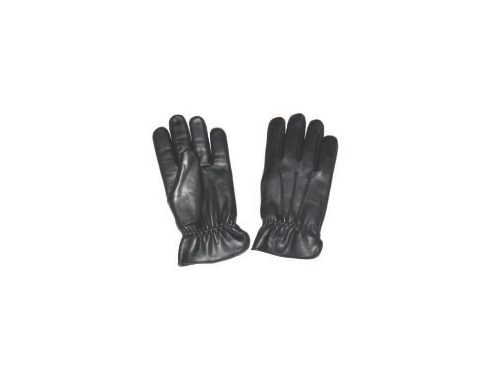 Bitemaster Everyday Glove