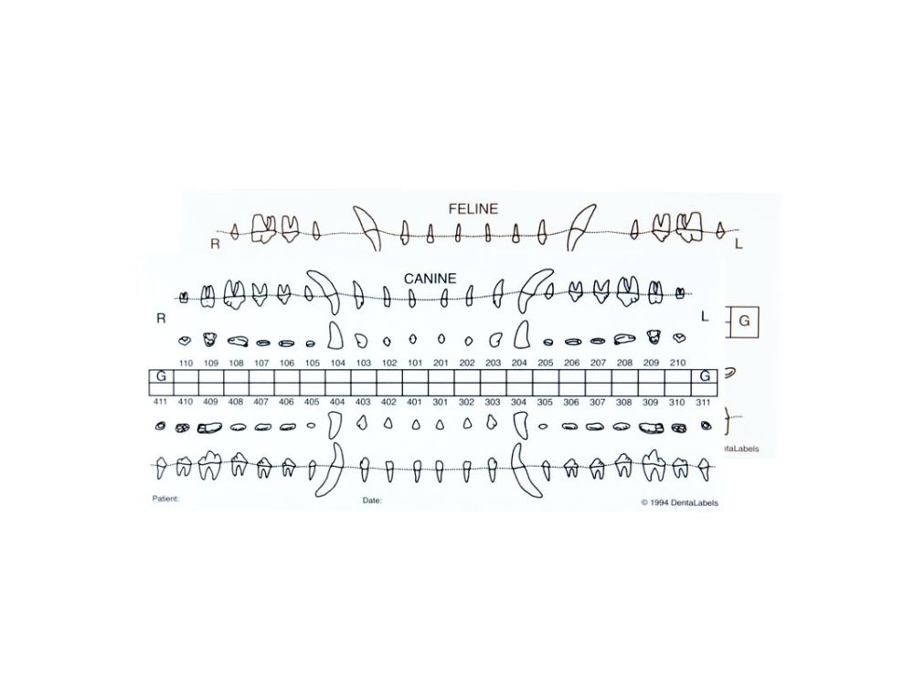 Dental Labels