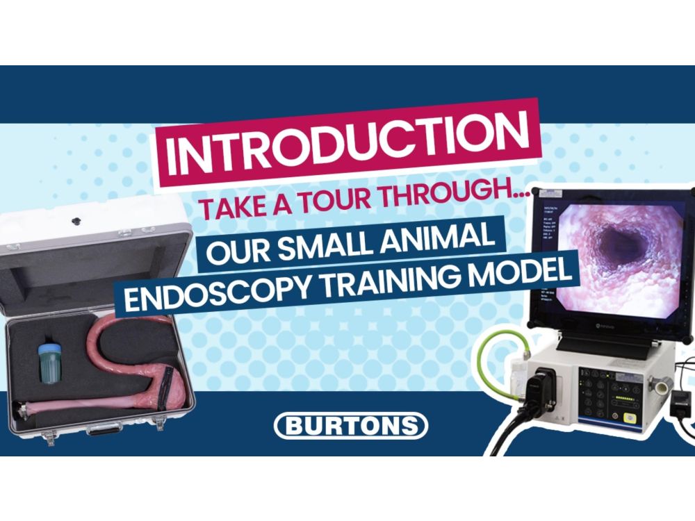 Burtons K9 Gastroscopy Training model