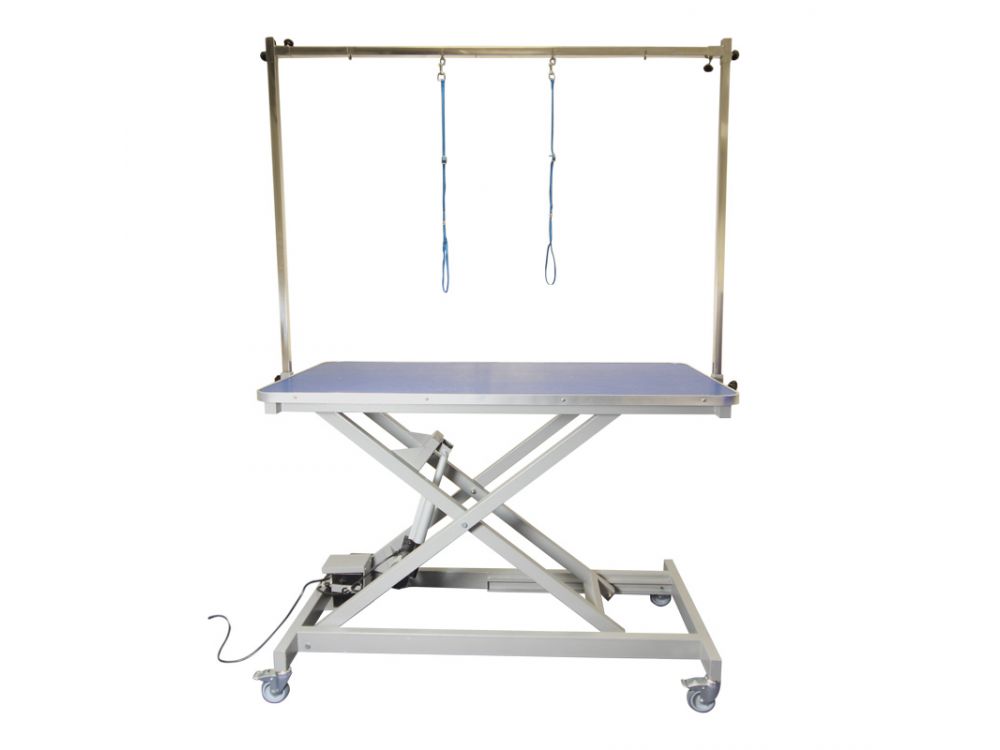 Burtons Electric Inclined-strut Grooming Table