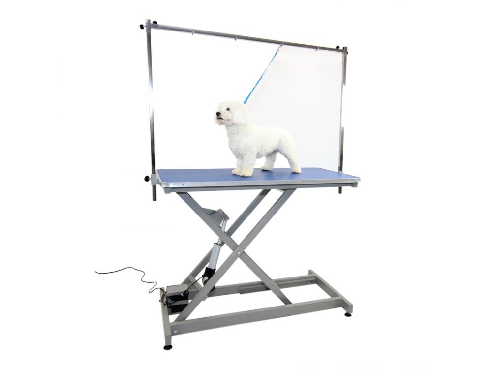 Burtons Electric Inclined-strut Grooming Table