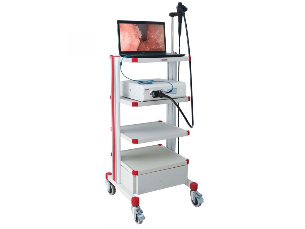 Huger Endoscopy Cart - Clearance
