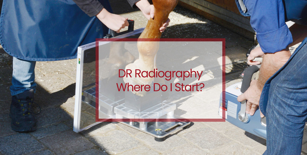 DR Radiography - Where Do I Start?