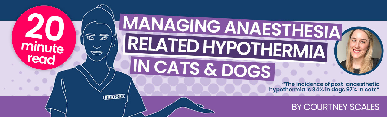 Managing Anaesthesia Related Hypothermia in Cats & Dogs